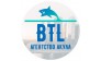 BTL Агентство Акула