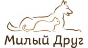 Милый друг
